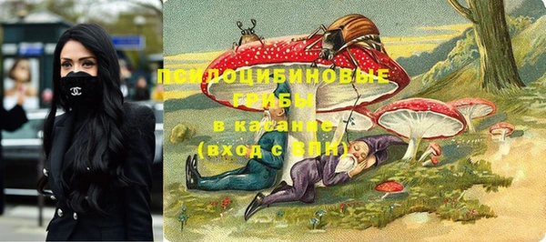 ECSTASY Алексеевка