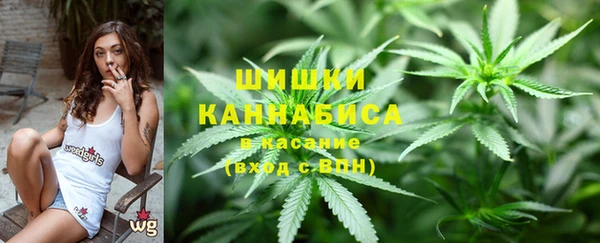 гидра Алексин