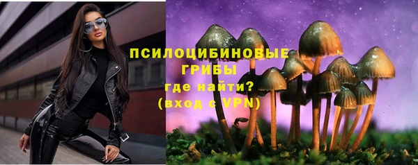 гидра Алексин