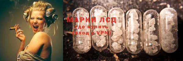 эйфоретик Алзамай
