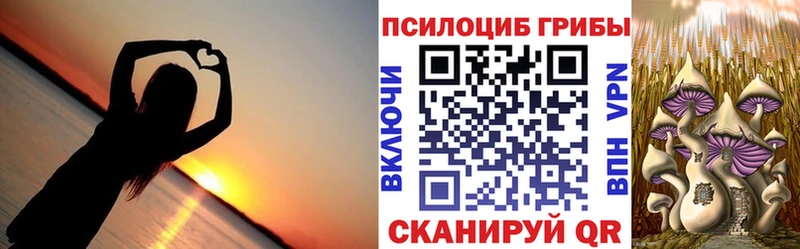 Галлюциногенные грибы MAGIC MUSHROOMS  Купить закладки  Алейск 